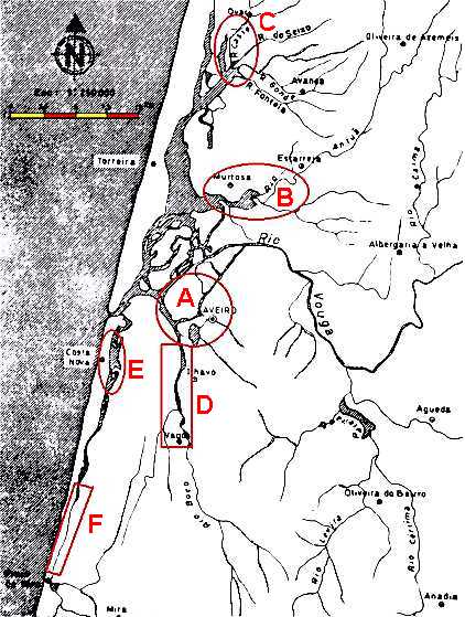 Fig. 3: Representação esquemática das Zonas da Ria de Aveiro mais afectadas por 